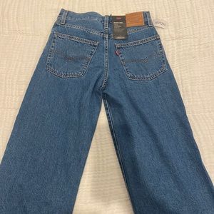 ARITZIA Levi’s baggy dad mid rise straight leg jeans